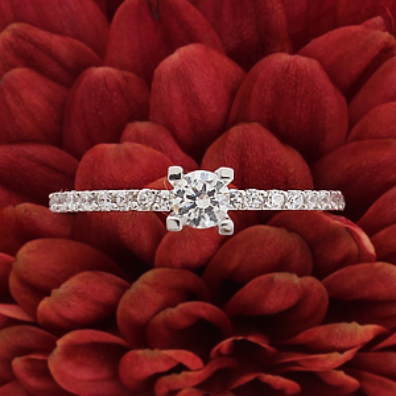 Alice&Co Rings 143787